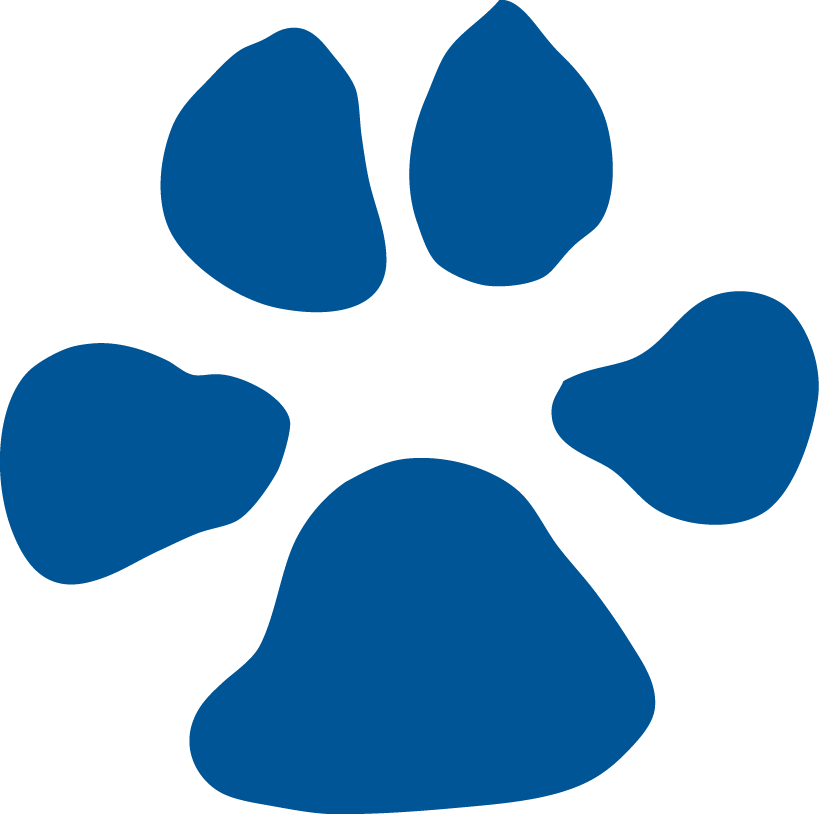 North Carolina Asheville Bulldogs 1998-Pres Alternate Logo iron on transfers for clothing